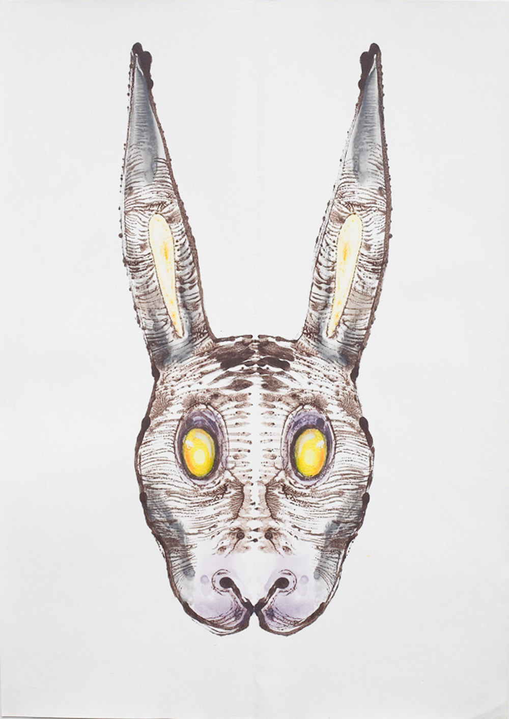 Rabbit 14